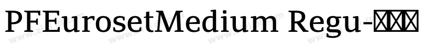 PFEurosetMedium Regu字体转换 PFEurosetMedium Regu字体转换